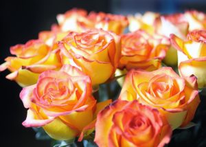 Blog Post Photo, Yellow and Pink Rose Bouquet