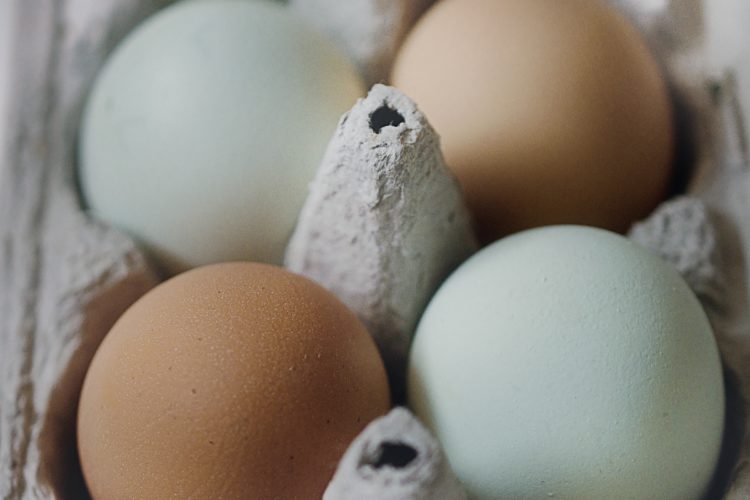 Coloured Eggs, Good Things to Know