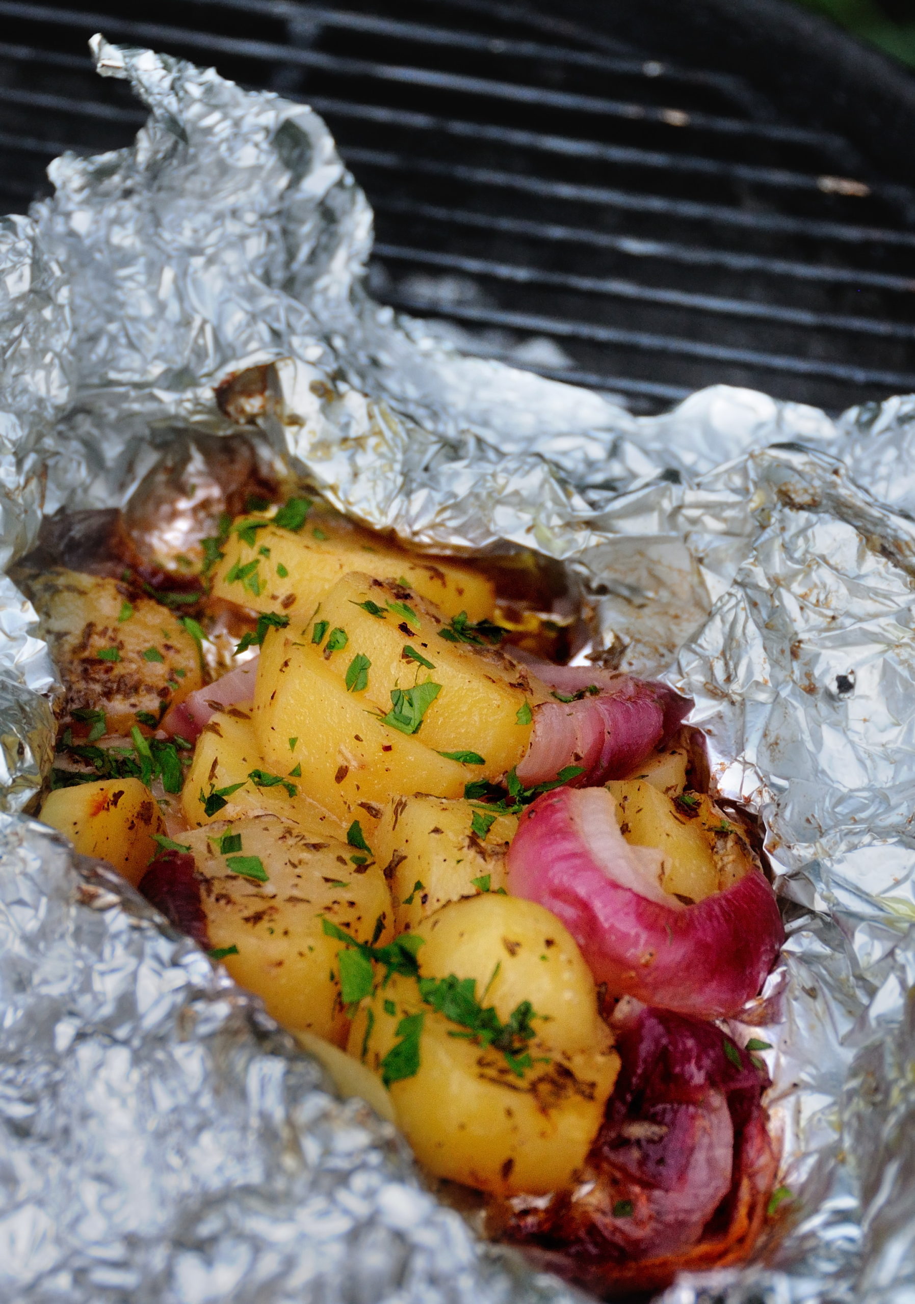 Potato And Onion Packets – Oracibo