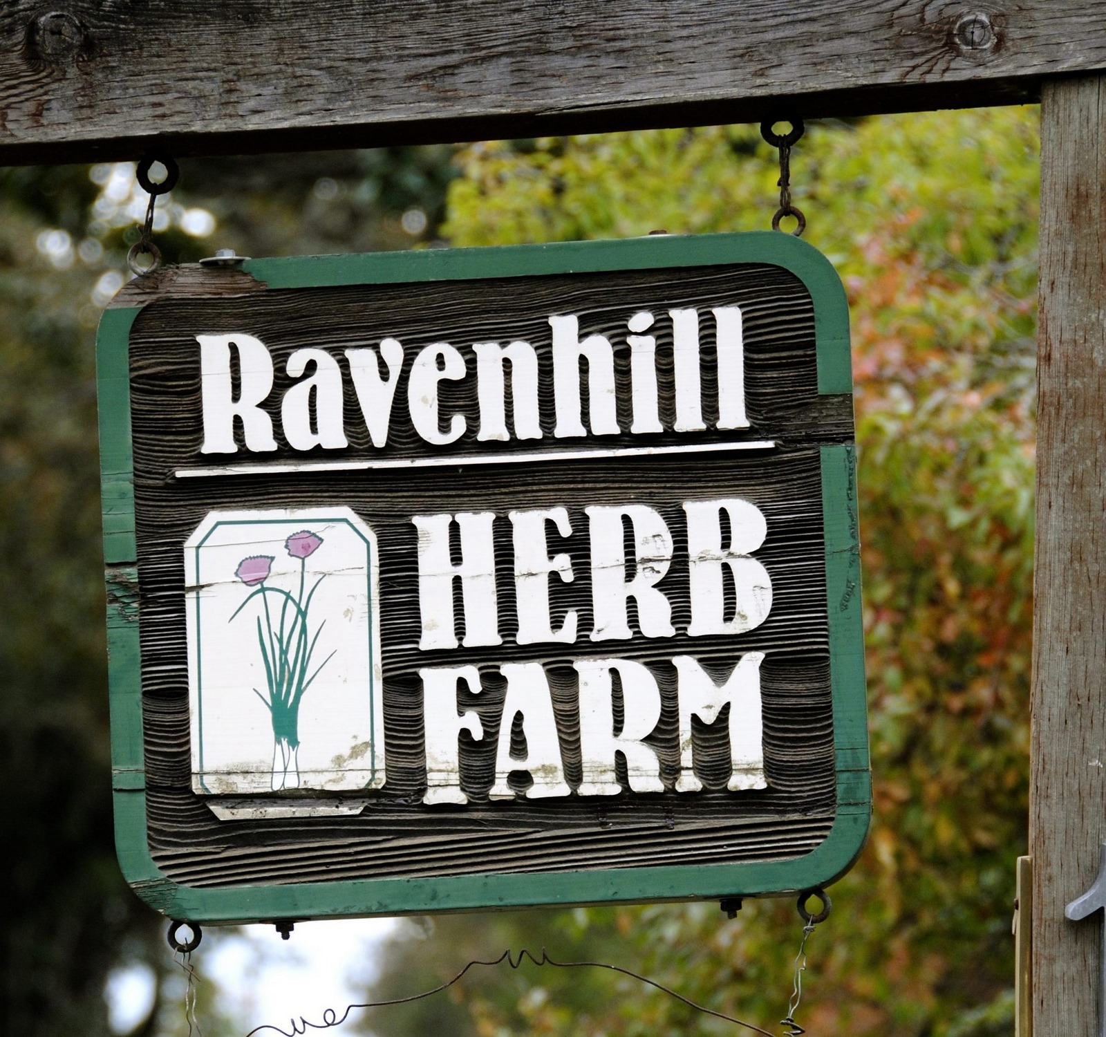 Blog Post Photo Ravenhill Herb Farm