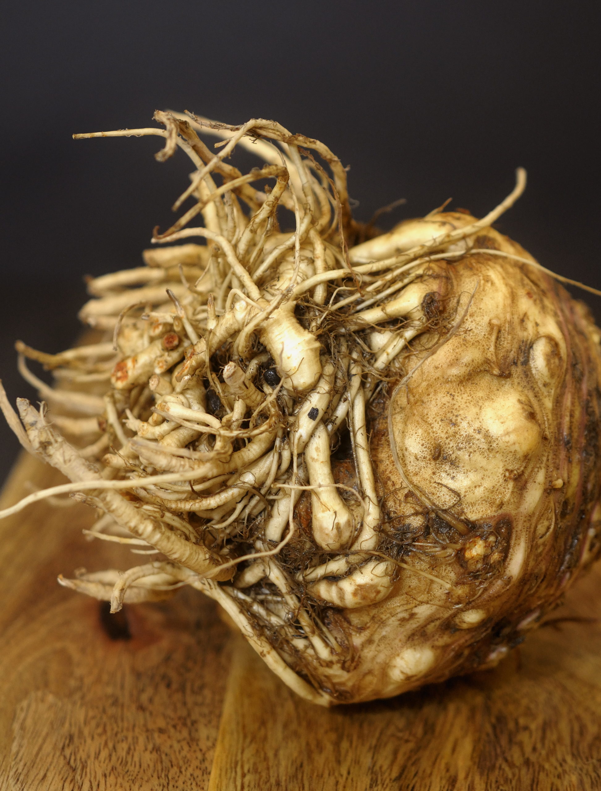 Celeriac Salad – Oracibo
