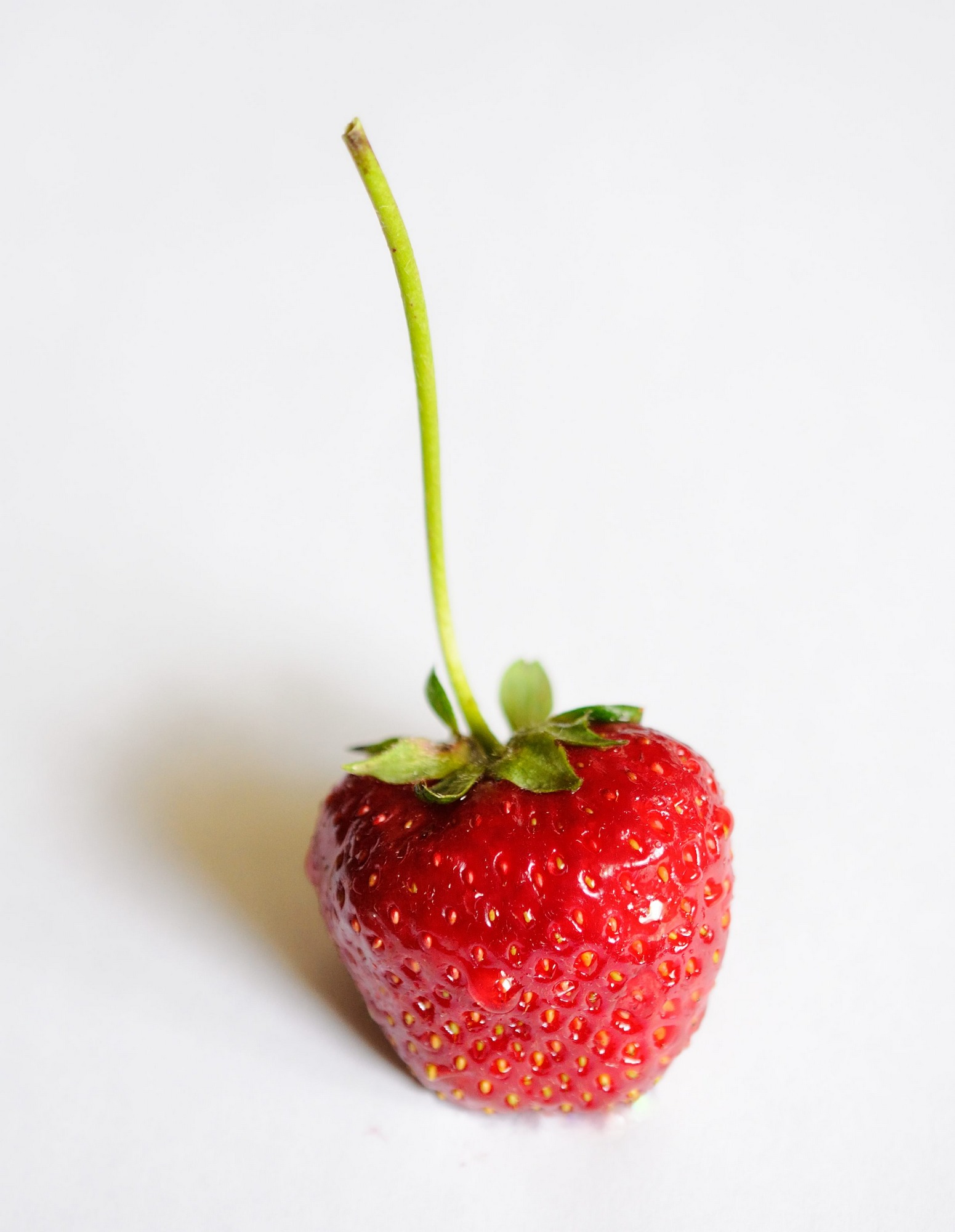 Blog Post Photo, Single Strawberry on Stem