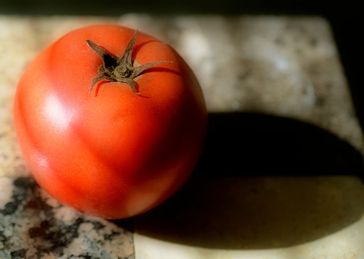Tomato Sauce For Gnocchi – Oracibo