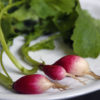 Blog Post Photo, French Breakfast Radishes & for A Simple Radish appetizer