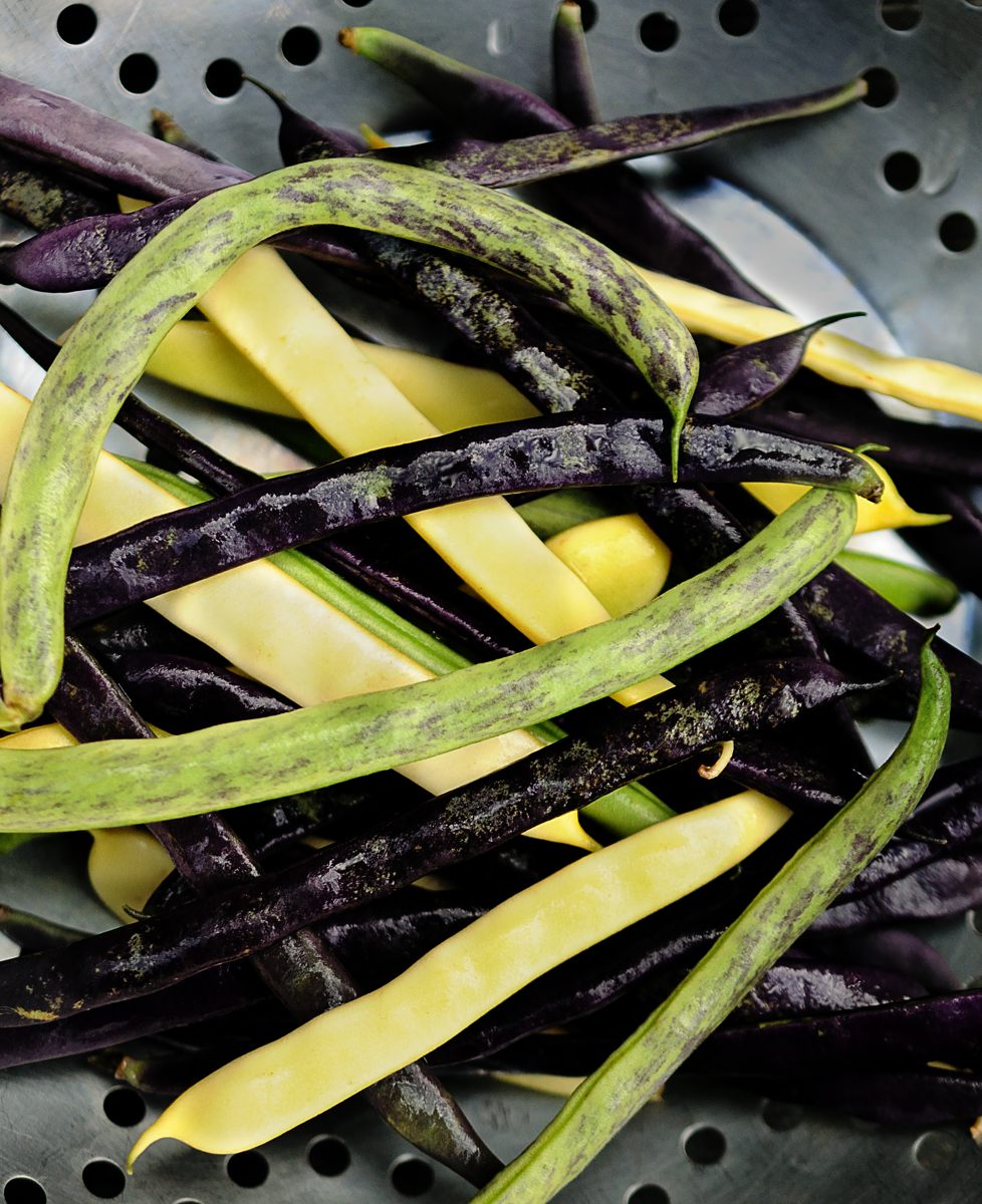 Assorted Green, Yellow & Purple Beans, Draining in Colander