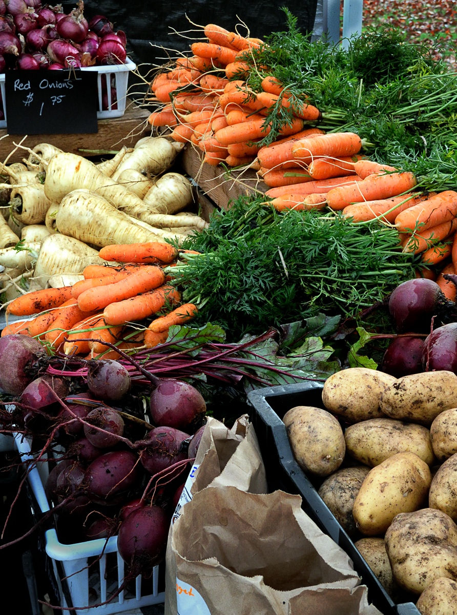Blog Post Photo Showing Parsnips, Beets, Potatoes, Carrots