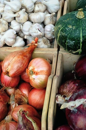 Onion and Gorgonzola Tarts, Onions, Garlic, Shallots at Farmer's Market