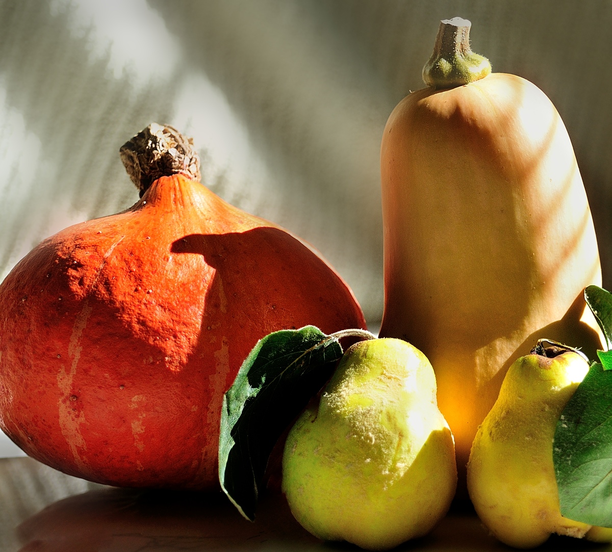 Butternut Squash Soup – Oracibo